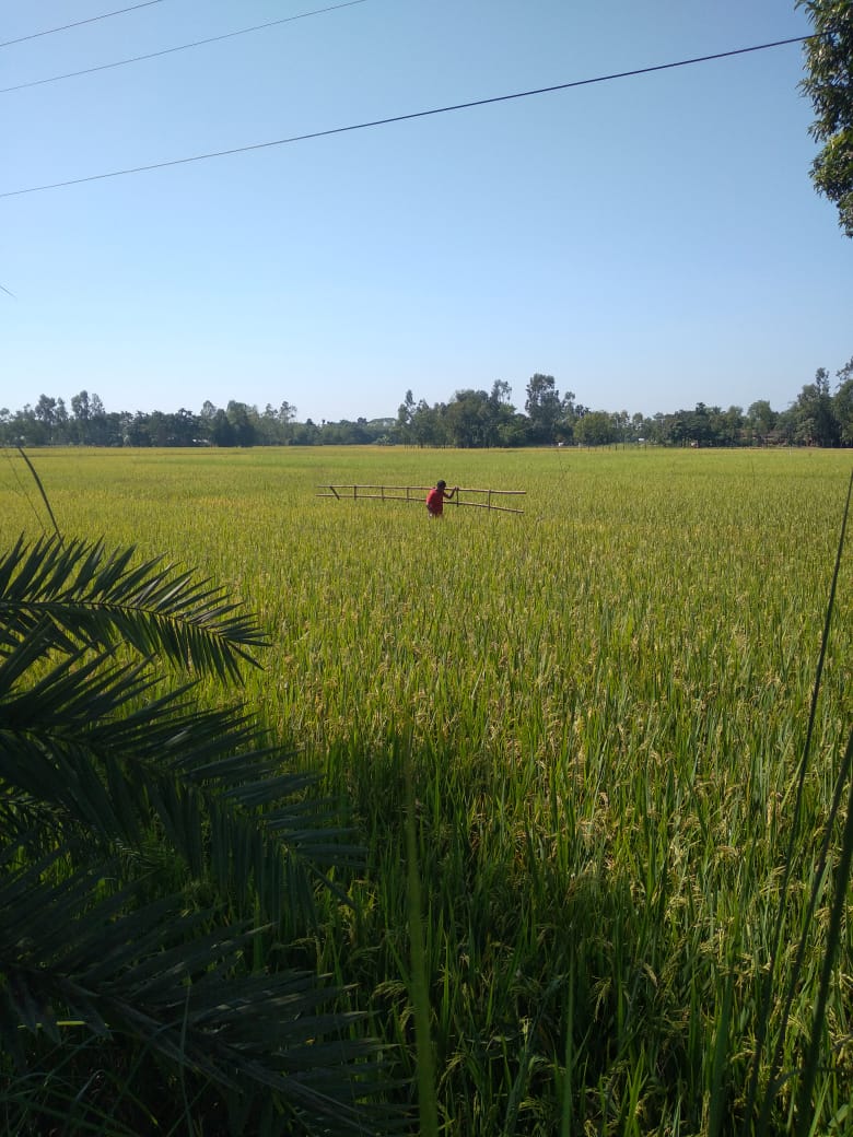 shadhin-wifi-village-image